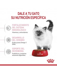 Royal Canin Kitten 1.5kg 2