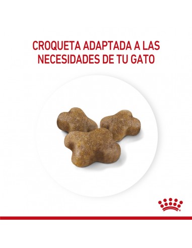 Royal Canin Kitten 7.5kg