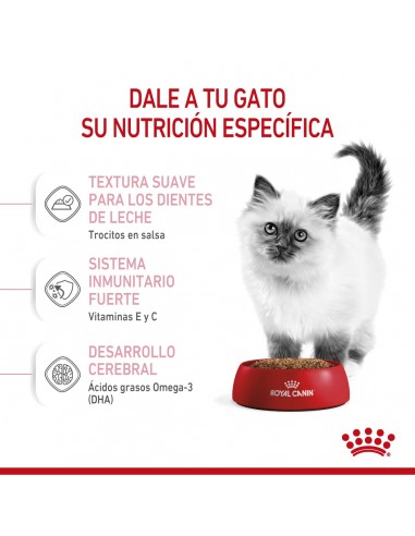 Royal Canin Kitten Pouch 12 x 85g