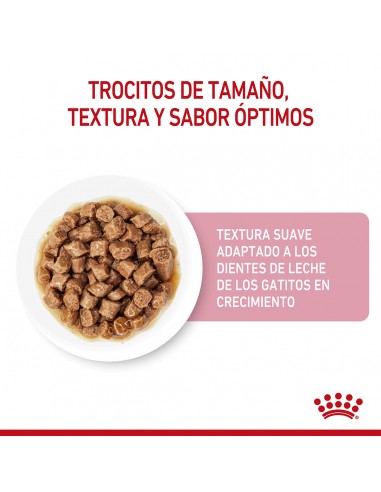 Royal Canin Kitten Pouch 12 x 85g
