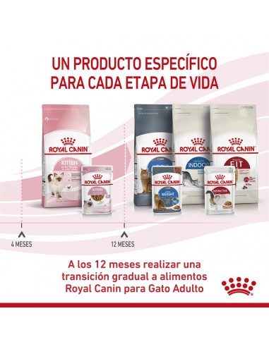 Royal Canin Kitten Pouch 12 x 85g