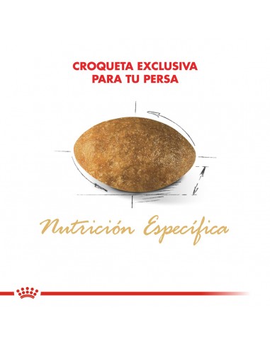 Royal Canin Persian 1.5kg