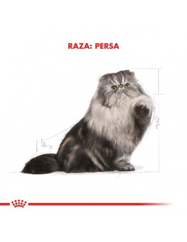 Royal Canin Persian 1.5kg