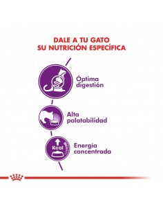Royal Canin Sensible  2
