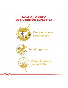 Royal Canin Siamese 7.5kg 2