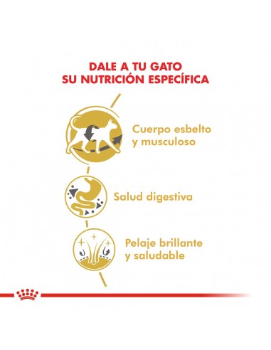 Royal Canin Siamese 7.5kg