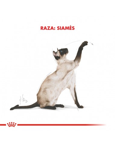 Royal Canin Siamese 7.5kg