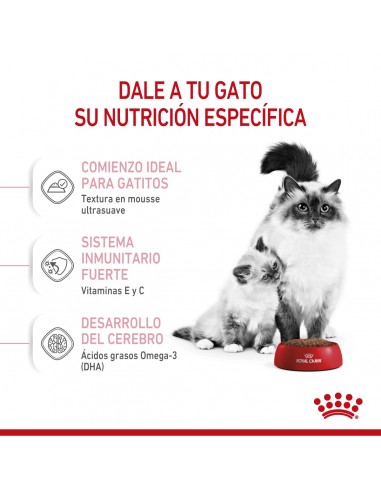 Royal Canin Mother & Babycat lata 6 x...