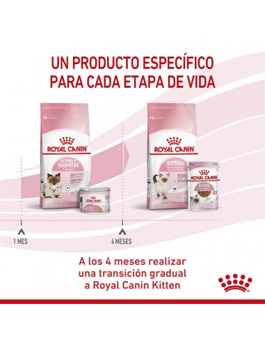 Royal Canin Mother & Babycat lata 6 x...