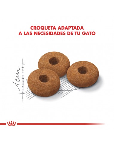 Royal Canin Appetite Control Feline...