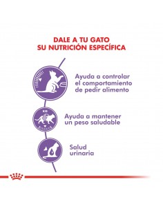Royal Canin Appetite Control Feline Pouch 12 x 85g 2