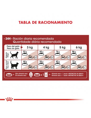 Royal Canin Regular Fit Feline 3kg