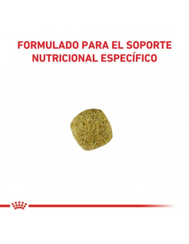 Royal Canin Diabetic Feline 1.5kg