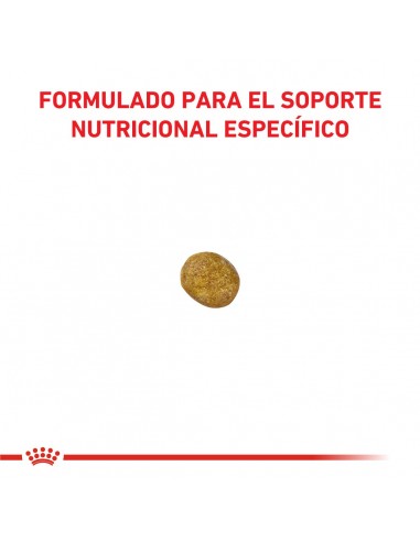 Royal Canin Renal Feline 2kg