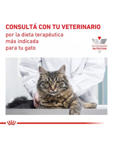 Royal Canin Renal Feline 2kg