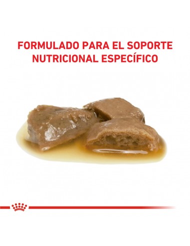 Royal Canin Renal Feline Pouch 12 x 85g