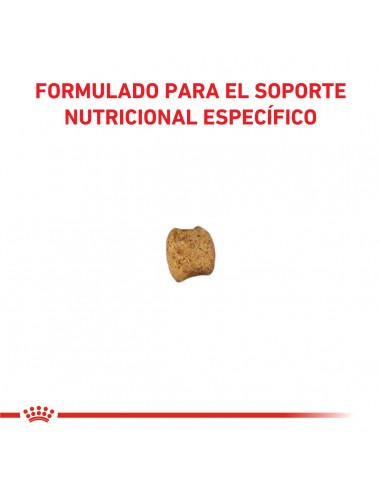 Royal Canin Early Renal Feline 1.5kg