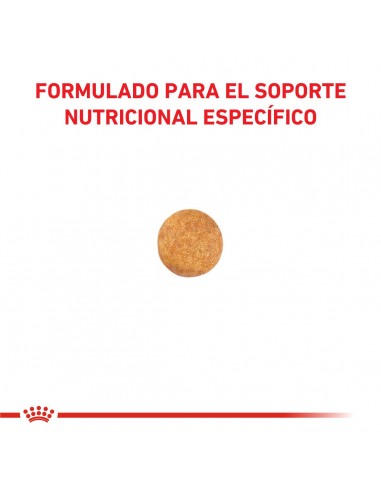 Royal Canin Hepatic Feline 1.5kg