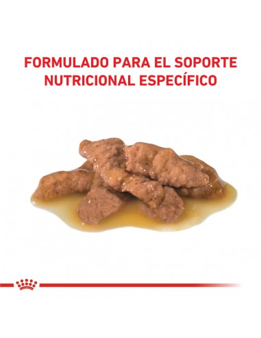 Royal Canin Urinary S/O Feline Pouch...