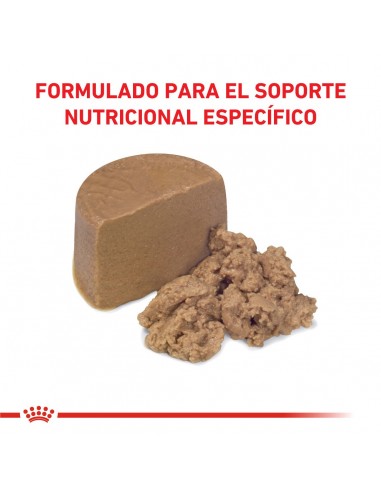 Royal Canin Recovery 195gr pack x12