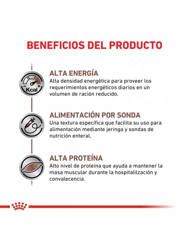 Royal Canin Recovery 195gr pack x6