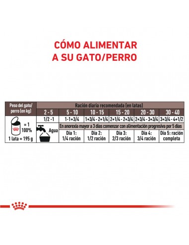 Royal Canin Recovery 195gr pack x6
