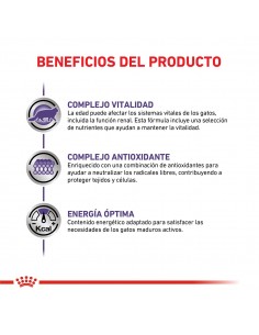Royal Canin Gato Castrado Mature 2