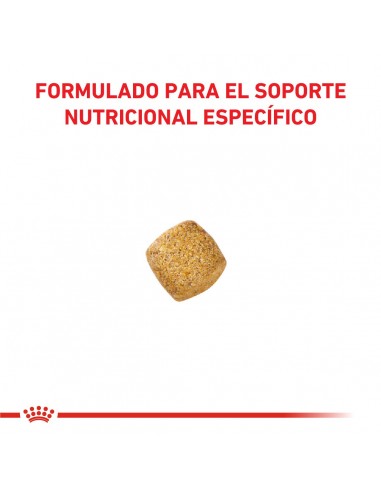 Royal Canin Gato Castrado Weight...
