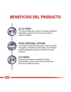 Royal Canin Gato Castrado Weight Control 2