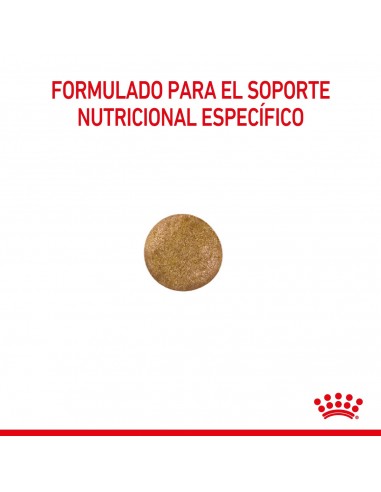 Royal Canin Anallergenic Canine 8Kg