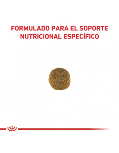 Royal Canin Cardiac Canine 10kg
