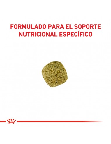 Royal Canin Diabetic Canine 2kg