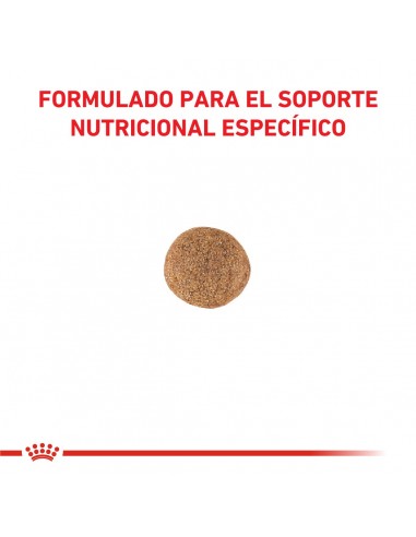 Royal Canin Gastrointest Moderate...