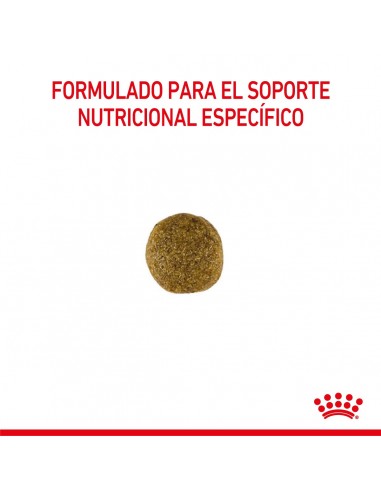 Royal Canin Gastrointestinal Canine 10kg