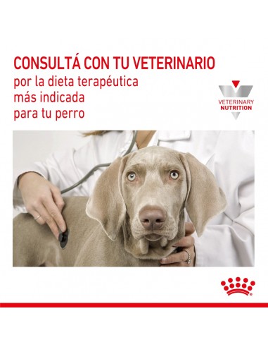 Royal Canin Gastrointestinal Canine 2kg