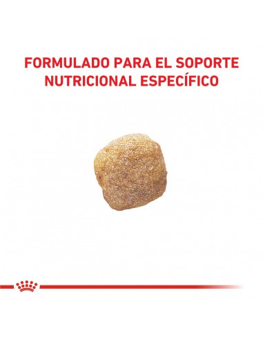 Royal Canin Hepatic Canine 1.5kg