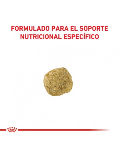 Royal Canin Hypoallargenic Moderate...