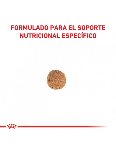 Royal Canin Hypoallergenic Small...