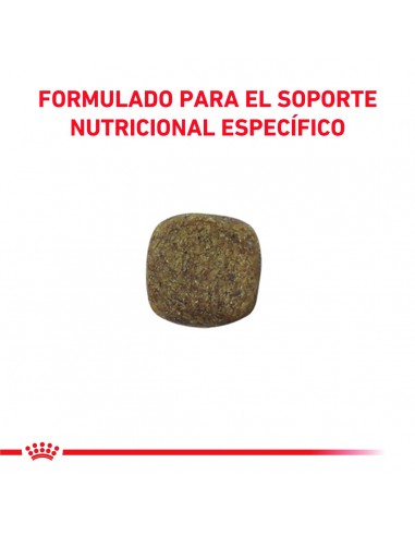 Royal Canin Mobility Canine 10kg