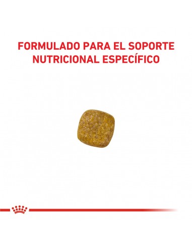 Royal Canin Renal Canine 10kg