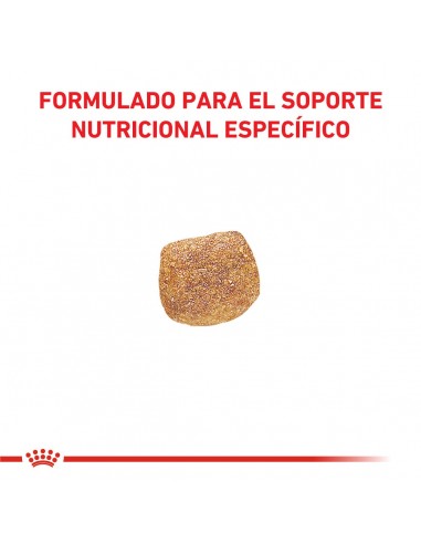 Royal Canin Urinary Canine S/O 1.5kg
