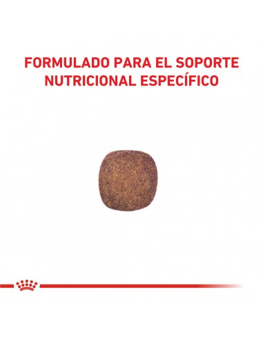 Royal Canin Hypoallergenic Canine 10kg