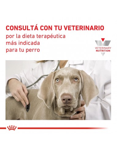 Royal Canin Hypoallergenic Canine 10kg