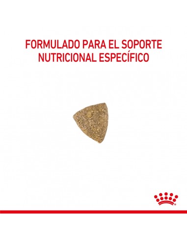 Royal Canin Gastrointestinal...