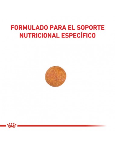 Royal Canin Gastrointest Mod Calorie...