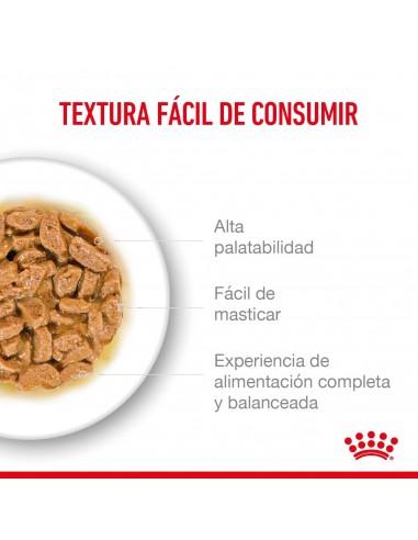 Royal Canin Ageing 11+ Feline 2kg