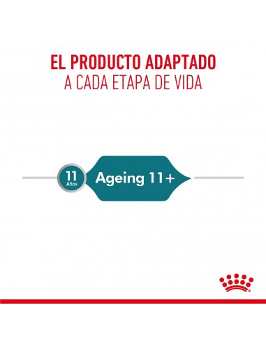 Royal Canin Ageing 11+ Feline 2kg