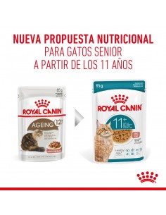 Royal Canin Ageing 11+ Feline 2kg 2