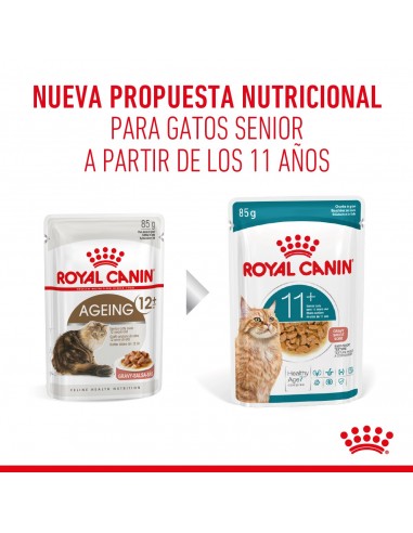 Royal Canin Ageing 11+ Feline 2kg