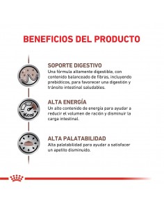 Royal Canin Gastrointestinal Feline 2